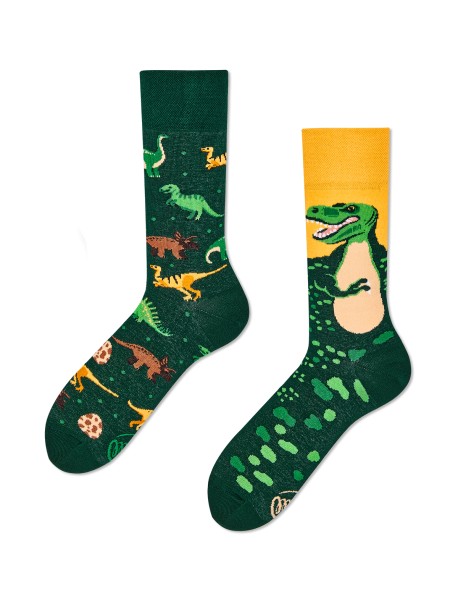 Chaussettes The Dinosaurs